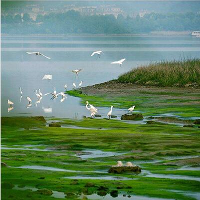 营业规模：森林生态系监测与评价、湿地生态系统监测与评价、荒原生态系统监测与评价
、生物多样性监测与评价、景物资源监测与评价