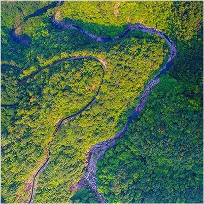 营业规模：林业生长妄想、林业工业生长妄想、林地；；；；な褂猛搿⑻厣昧止ひ瞪ね
、森林资源谋划妄想、森林资源妄想设计、森林谋划计划、其它涉林工程妄想设计